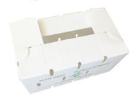 White 4mm Corrugated Polypropylene Pp Snow Peas Box