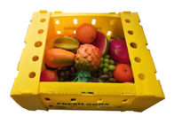 Fruit Raisin Packing PP Hollow Corrugated Plastic Box