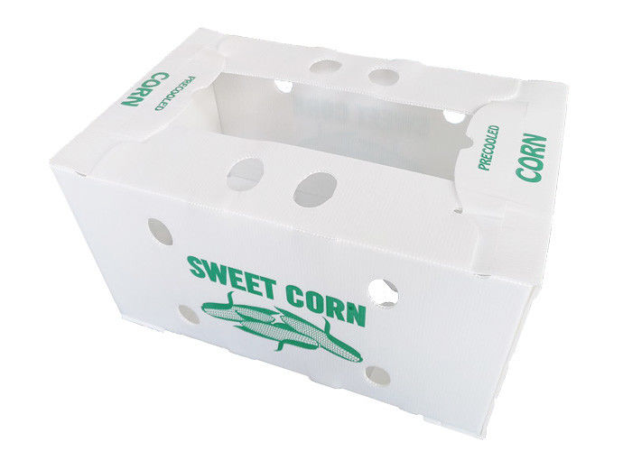 Recyclable Waterproof 750gsm Corn PP Packaging Box