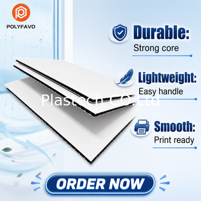 Zhongcheng 5mm 1600gsm Plastic Sheet for Transport Honeycomb Polypropylene Panel