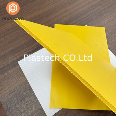 Lightweight Cellular Polypropylene Bottle Tray, PP Hollow Board Bottle Divider, Protective Wine Bottle Packaging Tray