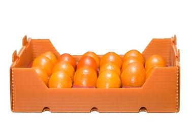 PPP Solution Fruit 4mm Fluted Pp Packaging Box